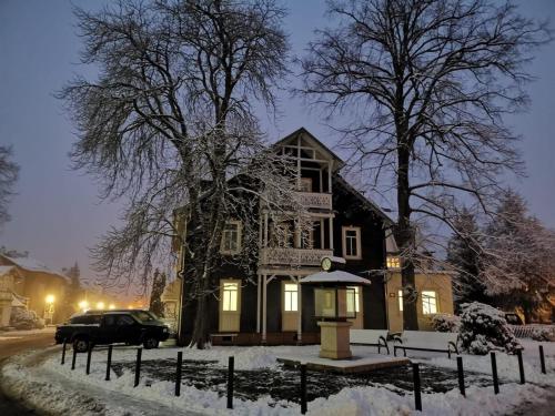una casa con un albero nella neve di Villa an der Wetterstation a Tabarz