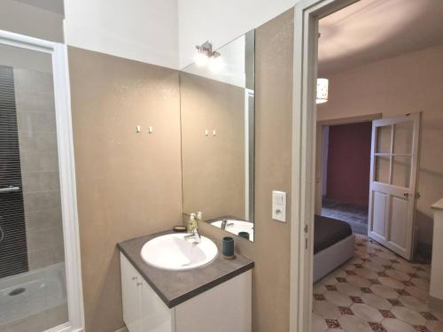 een badkamer met een wastafel en een spiegel bij L'appartement des Arènes - Nîmes in Nîmes