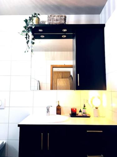 eine Badezimmertheke mit einem Waschbecken und einem Spiegel in der Unterkunft Lovely 2 bedroom apartment with a large own patio in Garðabær