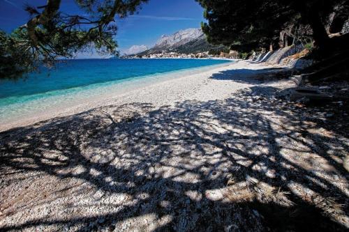 uma sombra de uma árvore numa praia em Ferienwohnung in Gradac em Gradac