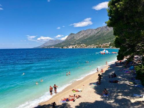 um grupo de pessoas em uma praia na água em Ferienwohnung in Gradac em Gradac