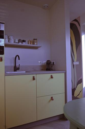 Dapur atau dapur kecil di Studio Smit