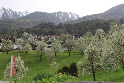a green field with trees and mountains in the background at Landhaus Eiter in Arzl im Pitztal
