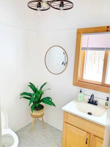 a bathroom with a toilet and a potted plant at Iron Gate Chalet - 5 Minutes to Smugglers Notch! in Cambridge