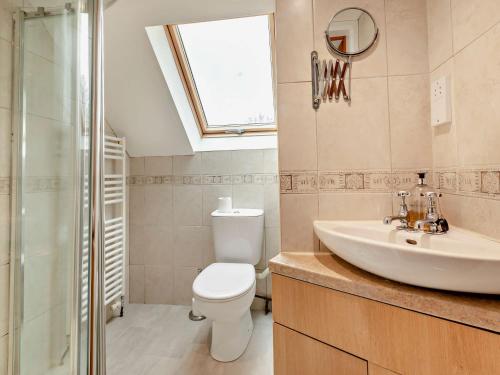 a bathroom with a toilet and a sink and a shower at 1 Bed in South Molton 3.1 miles SE 91153 in George Nympton