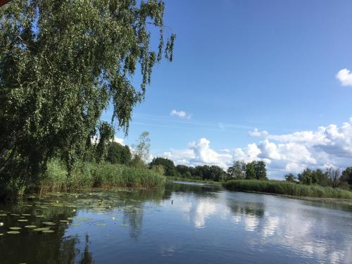 a river with a tree hanging over it at Ein Hauch von Orient in Eggesin