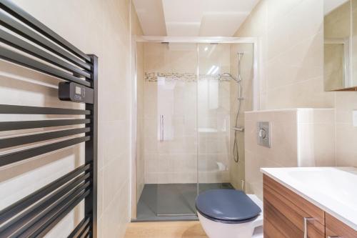 une salle de bain avec toilettes et douche en verre dans l'établissement Le Boulanger Windholz, à Colmar