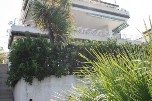 un edificio con palme e piante di fronte ad esso di Ferienwohnung für 6 Personen ca 100 qm in Pizzo, Kalabrien Provinz Vibo Valentia a Pizzo