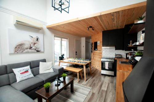 uma sala de estar com um sofá cinzento e uma cozinha em L'Everest Ski, Rando & Vélo Mont Sainte-Anne em Beaupré