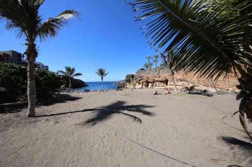a sandy beach with palm trees and the ocean at Luxury apartment with stunning terrace and with heated pool in Adeje