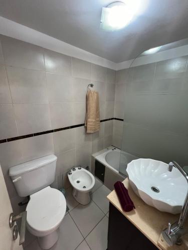 biała łazienka z toaletą i umywalką w obiekcie Relax Haedo norte w mieście Villa Sarmiento
