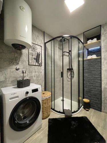 a washing machine in a bathroom with a shower at Apartment Massimo in Rijeka