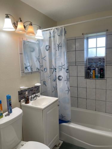 皮爾斯堡的住宿－Private Queen Bedroom C shared common spaces，一间带水槽和淋浴帘的浴室