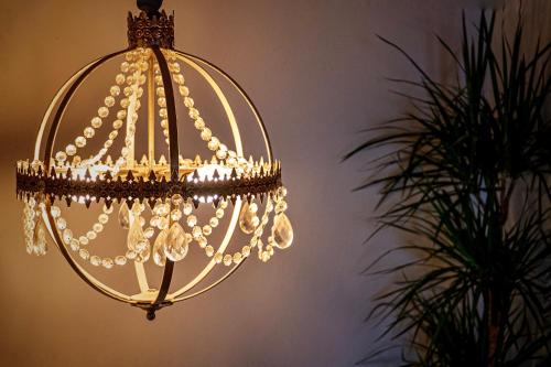 a chandelier in a room with a plant at Hotel Rural Flor de Almendro in Loarre