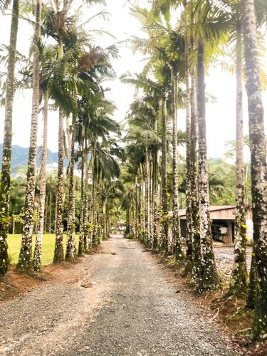 Landskap semula jadi dekat dengan rumah percutian