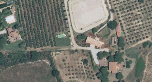 an overhead view of a field of crops at Agriturismo Sole in Trequanda