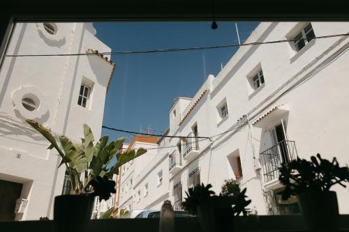 a reflection of a building with plants in a window at Casa Africa in Tarifa