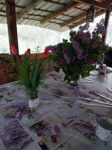 two vases of flowers are sitting on a table at Kaj Nana & Dedo in Skopje