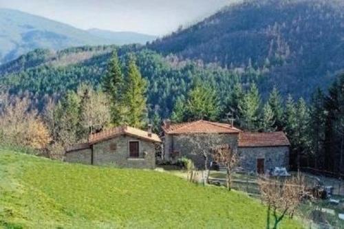 una casa en una colina con un campo verde en Appartement in Bibbiena mit Grill, gemeinsamem Pool und Garten, en Bibbiena