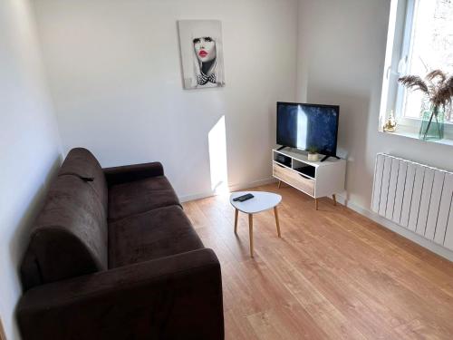 a living room with a couch and a tv at Flat 2beds Bellegarde in Bellegarde-sur-Valserine