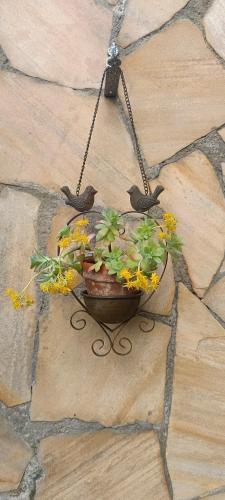 two birds sitting on a flower pot on a stone wall at Dimora Garibaldina in Mentana