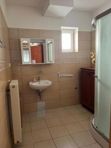 Kúpeľňa v ubytovaní Apartment Villa Attila
