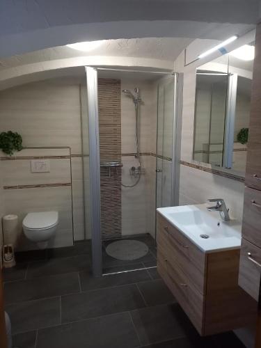 e bagno con doccia, servizi igienici e lavandino. di Nette Wohnung in Zescha mit Garten und Terrasse a Neschwitz