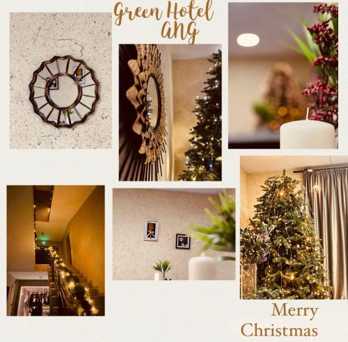 Gallery image of Green Hotel ANG in Tʼelavi