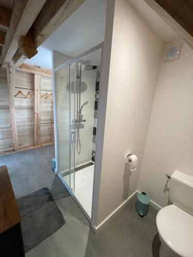 une cabine de douche dans une salle de bain avec toilettes dans l'établissement Grangette au chateau de Castelnau, à Prudhomat