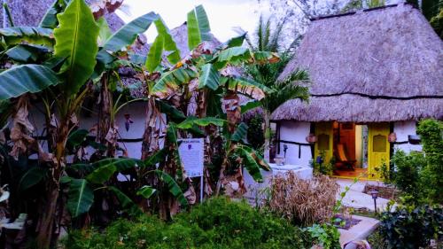 a small house with a thatched roof and plants at Hotel y Museo Aldea Maya Toktli Orígenes - Casa Maya Del Toloque Coronado - Alberca, Wifi Starlink, Tour Museo in Izamal