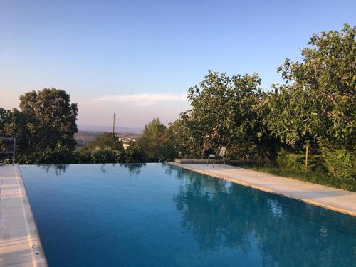 a large blue swimming pool with trees in the background at Quinta d'Abegoa in Marvão