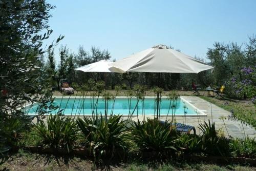 - un parasol à côté de la piscine dans l'établissement Ferienhaus für 6 Personen ca 125 qm in Colle di Buggiano, Toskana Provinz Pistoia, à Massa e Cozzile