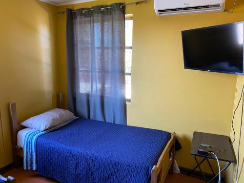 モリーナにあるHostal Radal Molinaのベッドルーム(ベッド1台、テレビ、窓付)