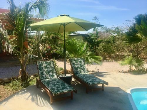 twee stoelen en een parasol naast een zwembad bij De Octopus in Dorp Sint Michiel