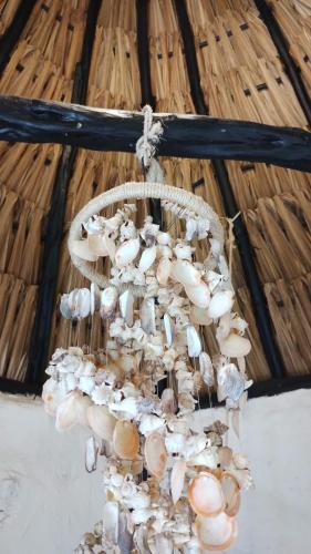 a bunch of shells hanging from a basket at Hotel y Museo Aldea Maya Toktli Orígenes - Casa Maya Toh - Alberca, Wifi Starlink, Tour Museo in Izamal