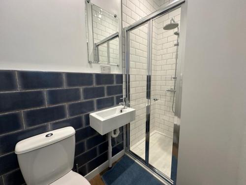 a bathroom with a toilet and a sink and a shower at Springbank Studio in Fareham