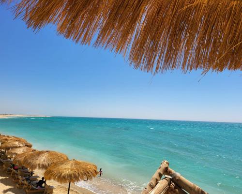 Tavira Resort في رأس سدر: مجموعة من مظلات القش والكراسي على الشاطئ