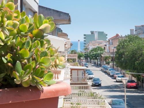 a succulent plant on the side of a city street at Ferienwohnung in Son Baulo mit Grill in Can Picafort
