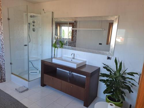 a bathroom with a sink and a shower and a mirror at Quinta Salinas - Puro Prazer in Aveiro