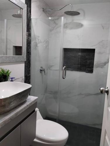 een badkamer met een douche, een toilet en een wastafel bij Casa Orquídea in Guadalajara