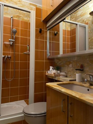 een badkamer met een toilet, een wastafel en een douche bij Big apartment with terrace & central location in Parijs