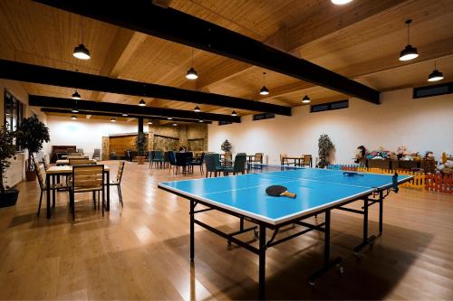 una mesa de ping pong en el medio de una habitación en Loft Hotel Bakuriani, en Bakuriani