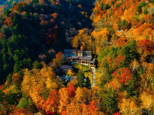 an aerial view of a house in the middle of a forest at Nakanoyu Onsen Ryokan - Vacation STAY 15670v in Matsumoto