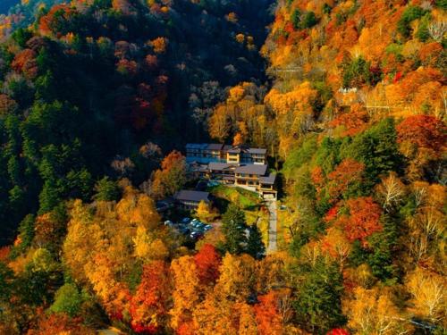 una vista aerea di una casa nel mezzo di una foresta di Nakanoyu Onsen Ryokan - Vacation STAY 18829v a Matsumoto