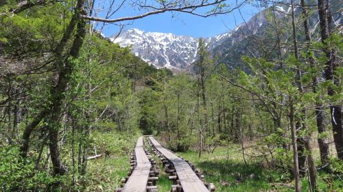 um caminho de madeira através da floresta com montanhas ao fundo em Nakanoyu Onsen Ryokan - Vacation STAY 18829v em Matsumoto