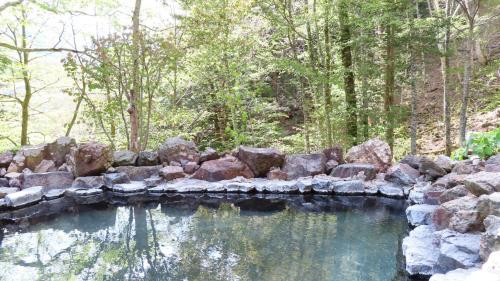 una gran piscina de agua con rocas y árboles en Nakanoyu Onsen Ryokan - Vacation STAY 18824v en Matsumoto