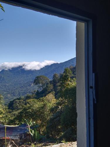 ventana con vistas a la montaña en Finca hostal La Alicia 1950, en Santa Marta