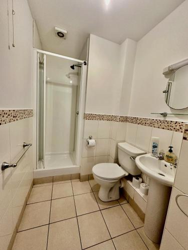 a bathroom with a toilet and a shower and a sink at Wellington Central Apartment in Waterford