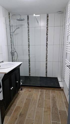 une salle de bain avec un lavabo et une douche dans l'établissement Au Cœur des vignes, à Mareuil-sur-Cher