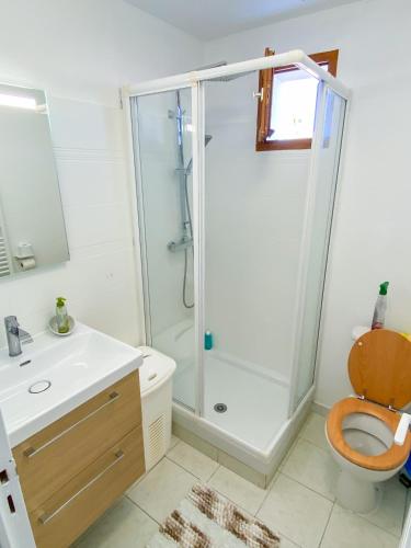 une salle de bain avec une douche, des toilettes et un lavabo dans l'établissement Dydy Haven - maison de vacances à Vias plage, piscine, mer et climatisation, à Vias